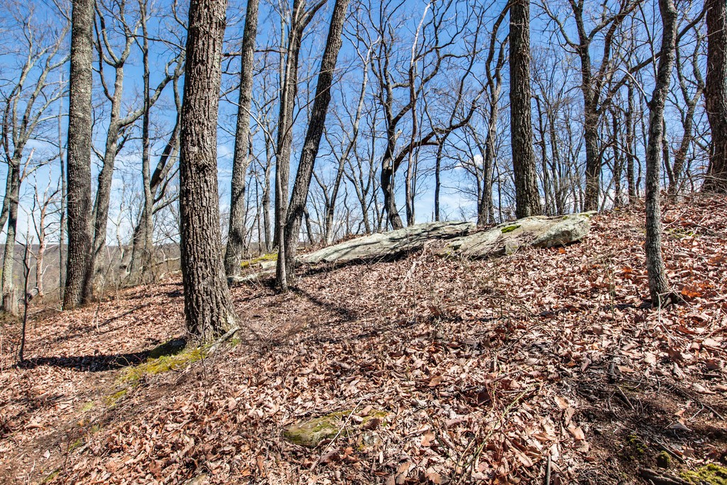 7 Long Mountain Road McMinnville, TN 37110 - Photo 56 of 62 a backyard of a house with lots of green space