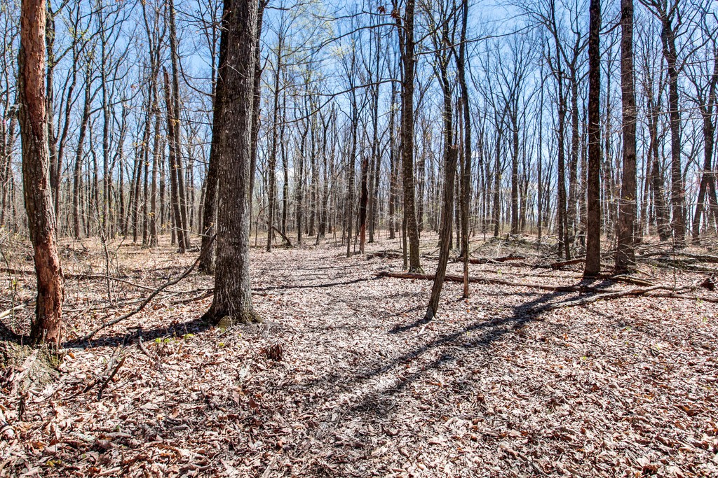 7 Long Mountain Road McMinnville, TN 37110 - Photo 57 of 62 a view of outdoor space with wooden fence