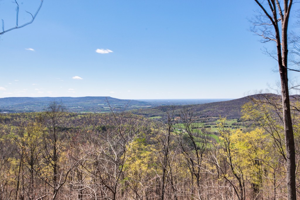 7 Long Mountain Road McMinnville, TN 37110 - Photo 58 of 62