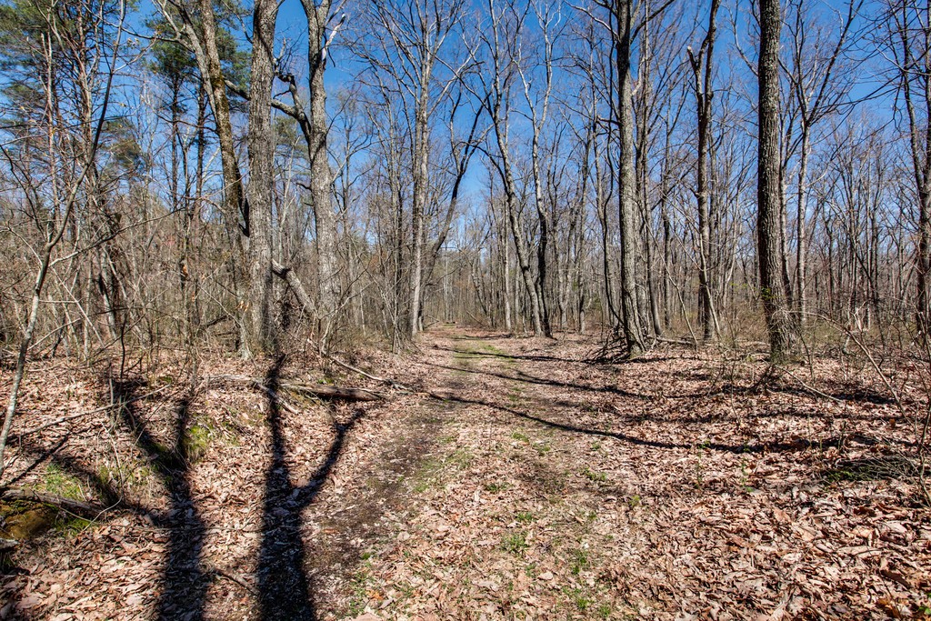 7 Long Mountain Road McMinnville, TN 37110 - Photo 60 of 62