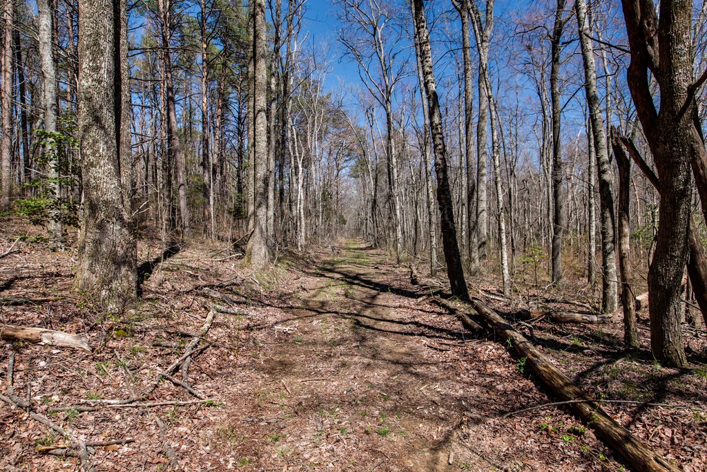 7 Long Mountain Road McMinnville, TN 37110 - Photo 62 of 62 a view of a backyard of the house