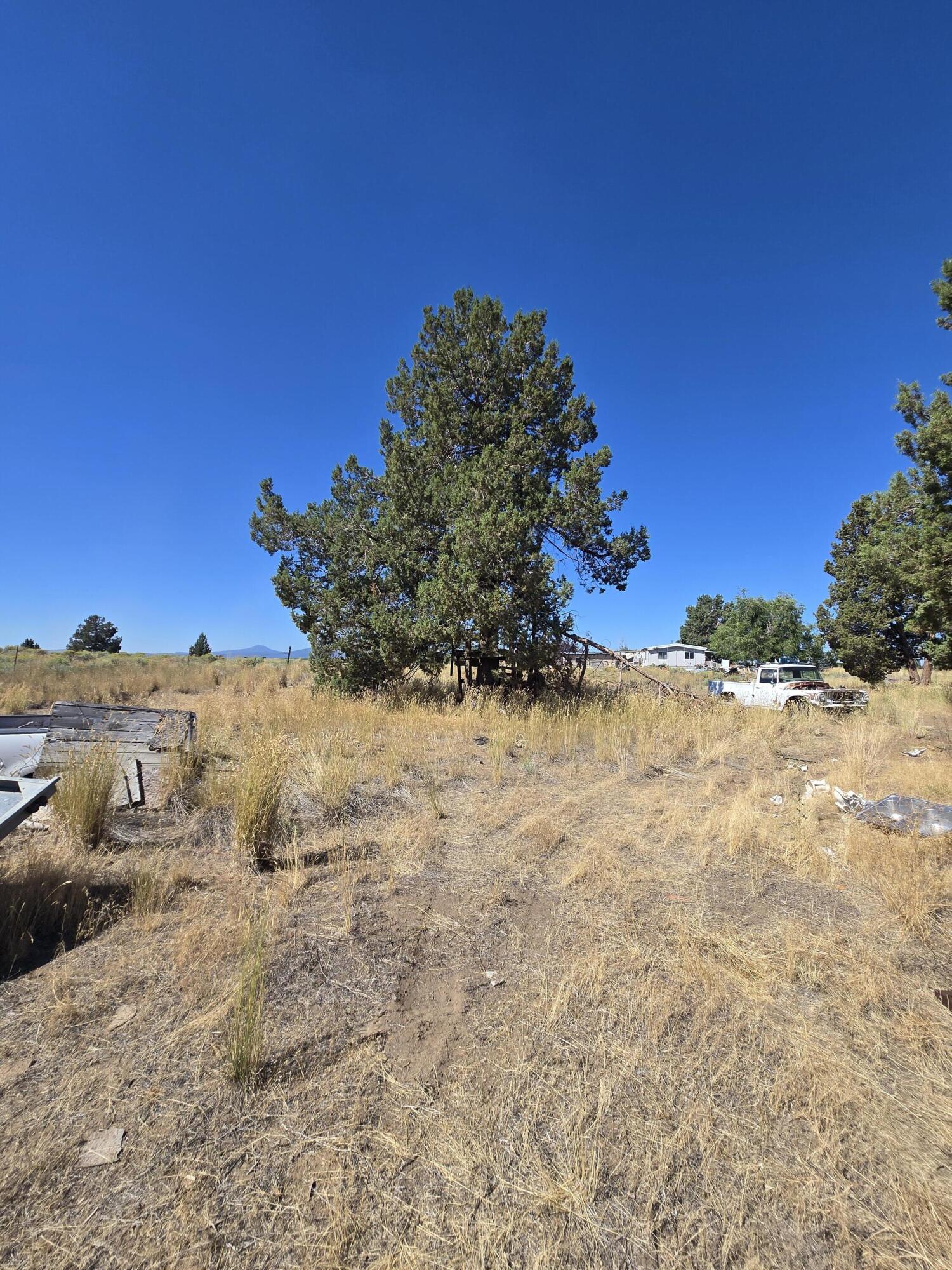 3138 Sheep Mountain Road Macdoel, CA 96058 - Photo 31 of 47 Yard