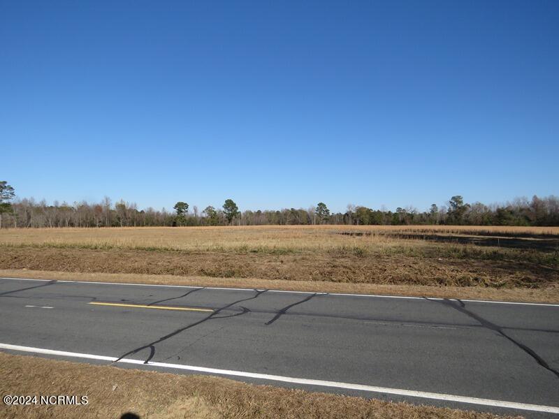 Tbd Odum Road Lumberton, NC 28360 - Photo 12 of 15 IMG_7346