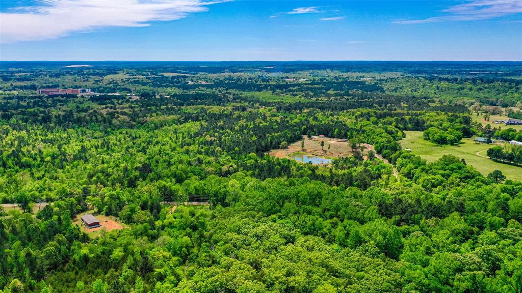 11088 County Road 334 Tyler, TX 75708 - Photo 21 of 23 a view of a city with lush green forest
