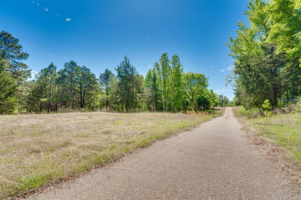 11088 County Road 334 Tyler, TX 75708 - Photo 4 of 23 a view of a yard with a tree