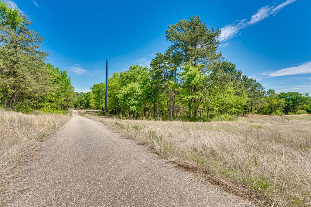 11088 County Road 334 Tyler, TX 75708 - Photo 5 of 23 a view of a road with a yard