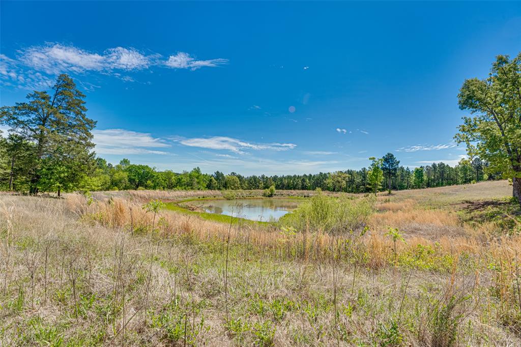 11088 County Road 334 Tyler, TX 75708 - Photo 6 of 23 a view of lake with green space