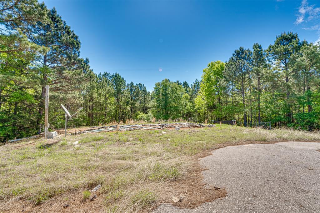 11088 County Road 334 Tyler, TX 75708 - Photo 10 of 23 a view of a yard with a tree