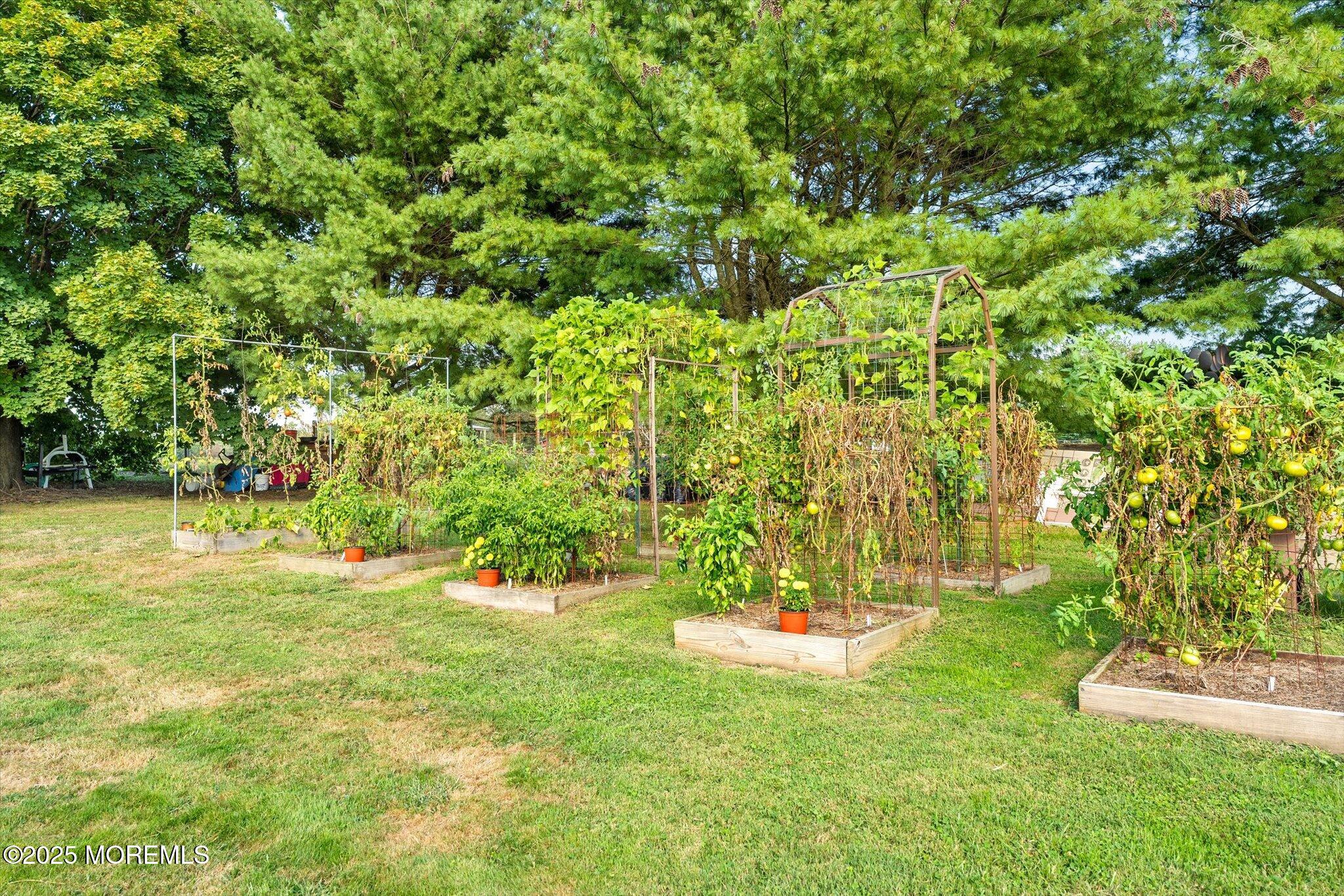 537 Chesterfield Arneytown Road Chesterfield, NJ 08515 - Photo 19 of 89 74-537_Arneytown_Chesterfield_Rd-74