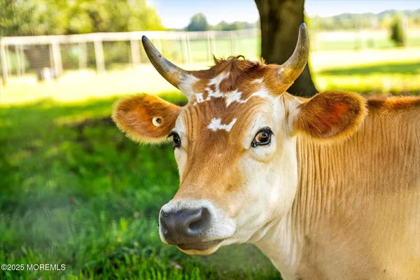 $1,100,000 | 537 Chesterfield Arneytown Road, Chesterfield, NJ 08515