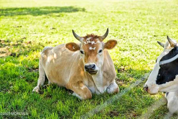 $1,100,000 | 537 Chesterfield Arneytown Road, Chesterfield, NJ 08515