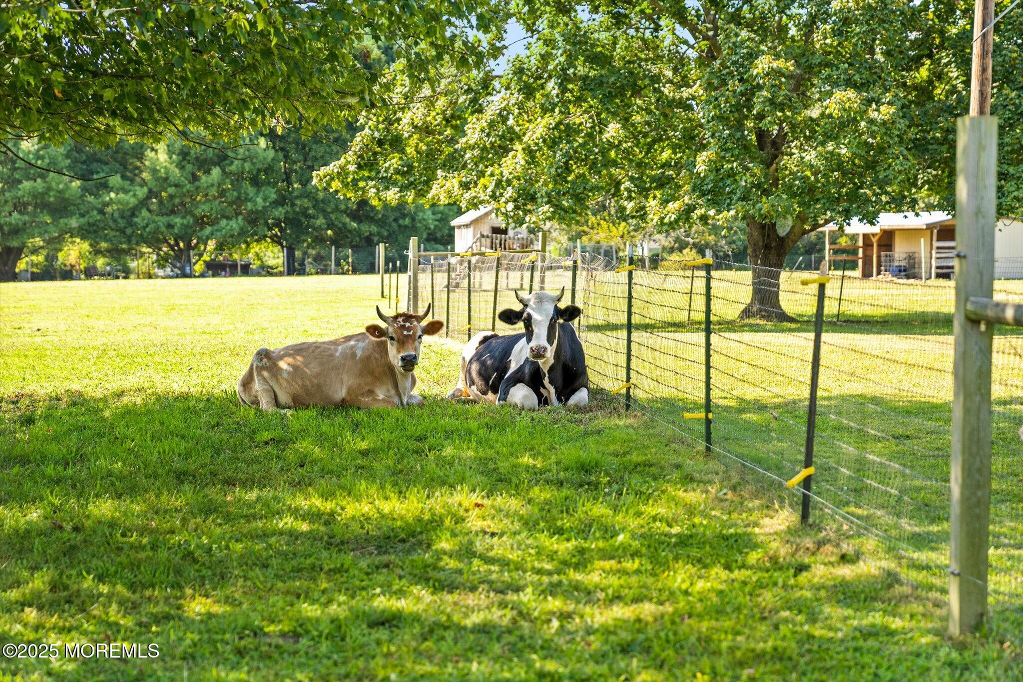 537 Chesterfield Arneytown Road Chesterfield, NJ 08515 - Photo 75 of 89 a backyard of a house with lots of green space and garden