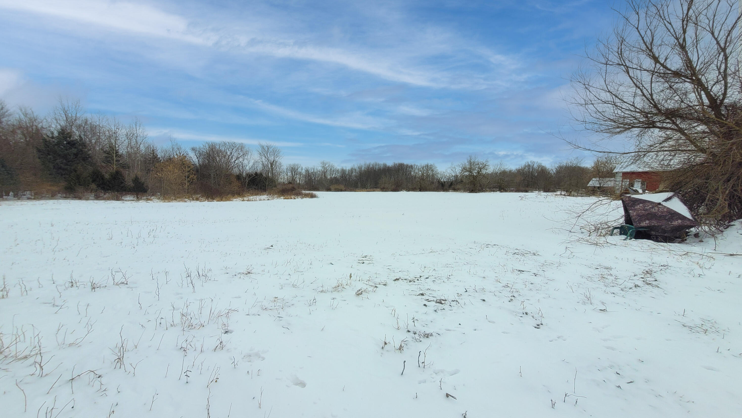 368 Cranson Road Bronson, MI 49028 - Photo 13 of 23 12-3