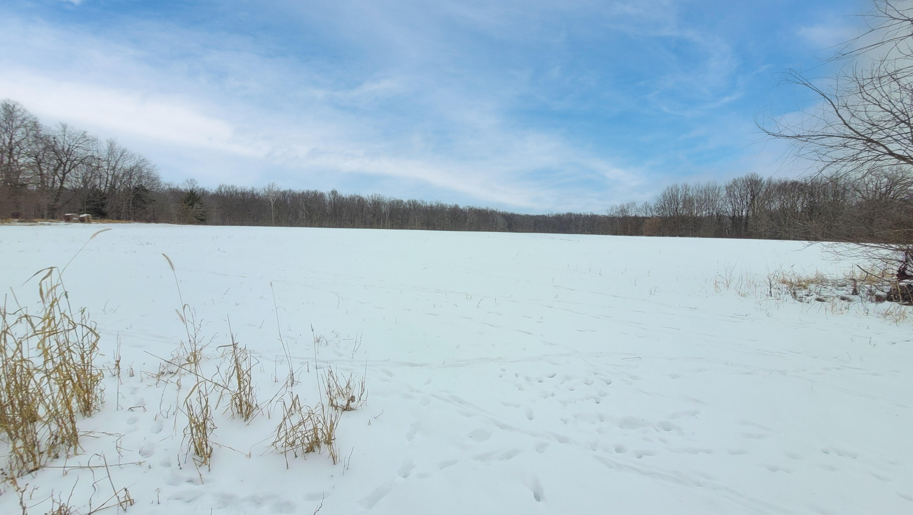 368 Cranson Road Bronson, MI 49028 - Photo 14 of 23 13-2