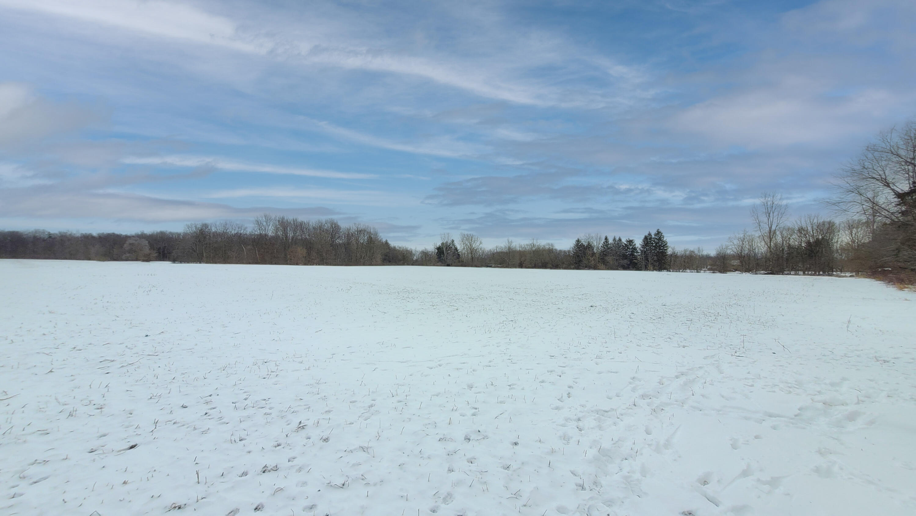 368 Cranson Road Bronson, MI 49028 - Photo 15 of 23 14-1