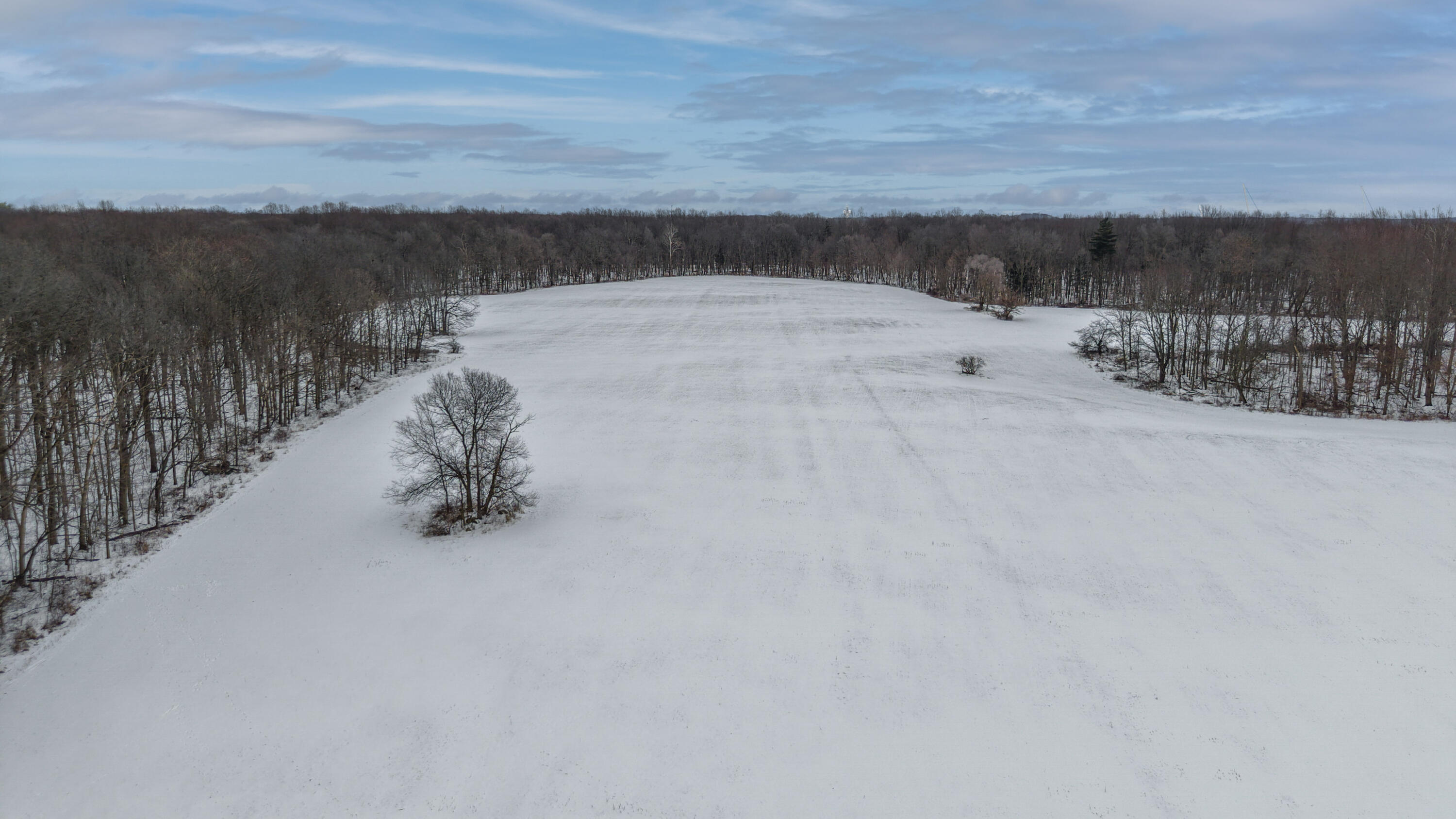 368 Cranson Road Bronson, MI 49028 - Photo 9 of 23 7-7