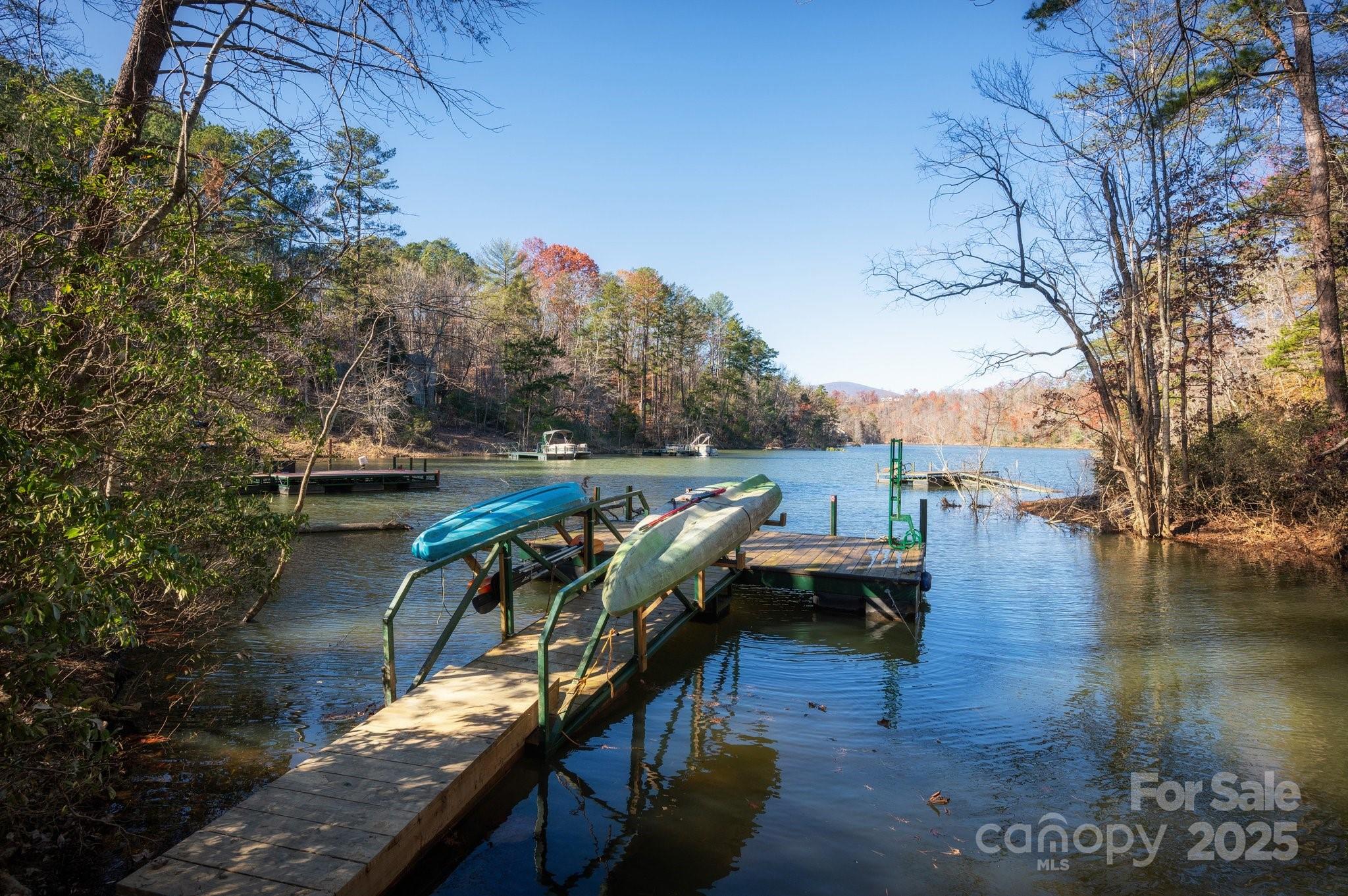 461 Hawk Ridge Drive Mill Spring, NC 28756 - Photo 19 of 19