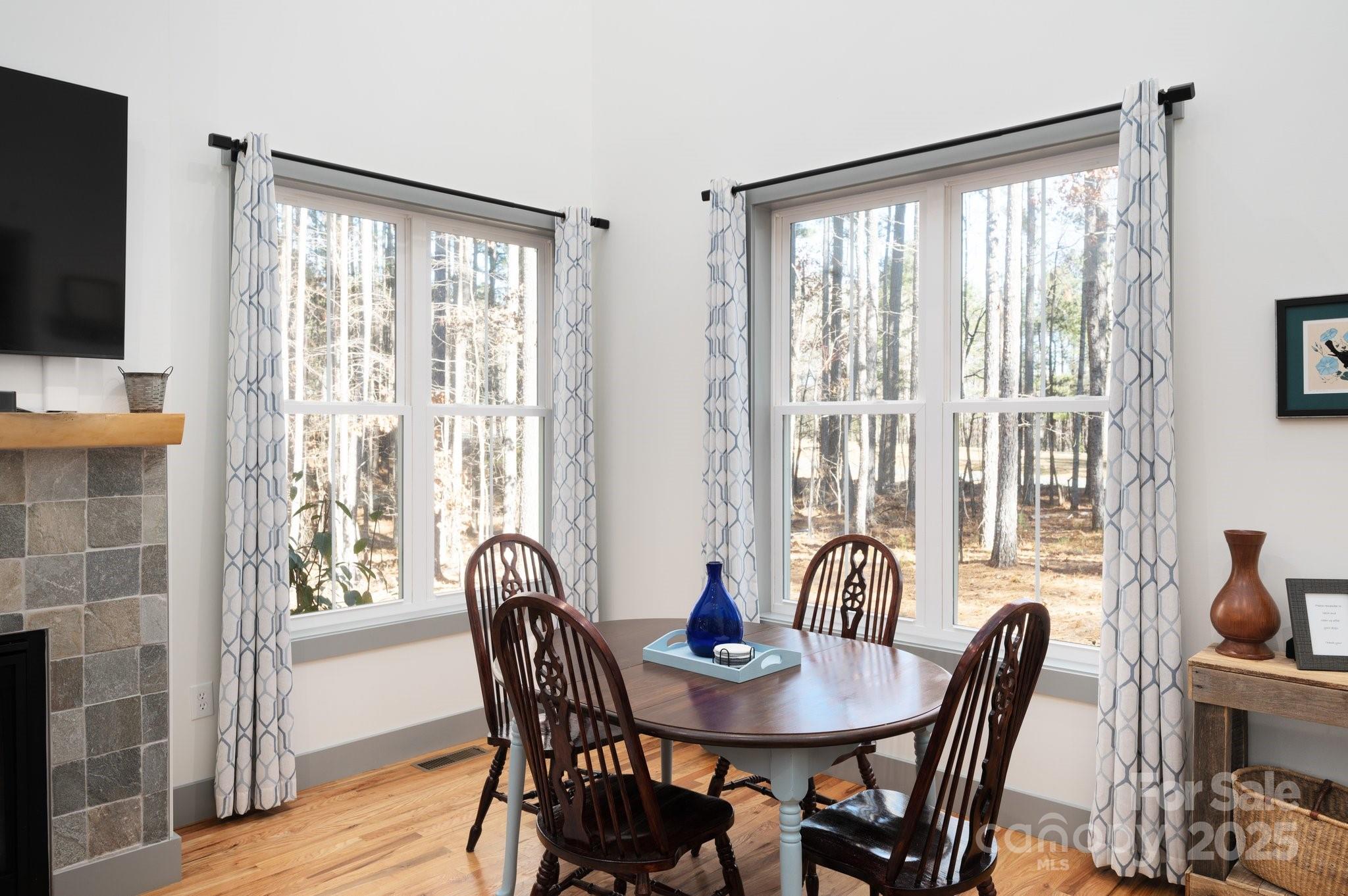 461 Hawk Ridge Drive Mill Spring, NC 28756 - Photo 4 of 19