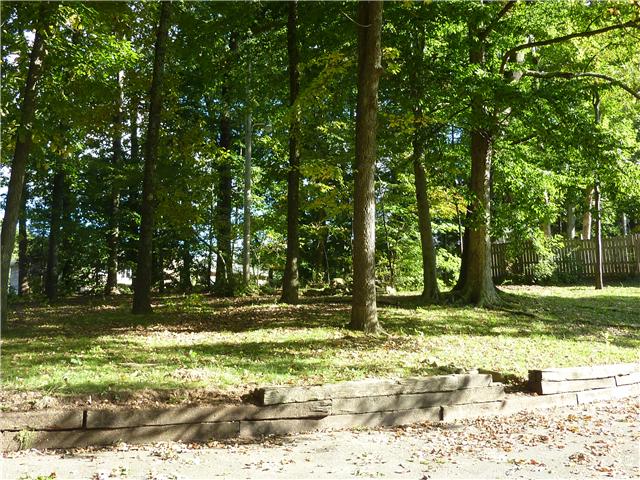 404 Golfview Lane Springfield, TN 37172 - Photo 20 of 20 Backyard