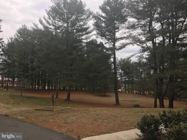 15690 Oakland Road Reva, VA 22735 - Photo 69 of 74 front yard