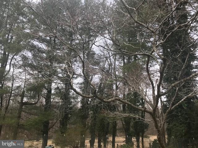 15690 Oakland Road Reva, VA 22735 - Photo 70 of 74 mature trees offer privacy and scenery