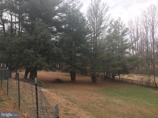 15690 Oakland Road Reva, VA 22735 - Photo 71 of 74 view of side yard