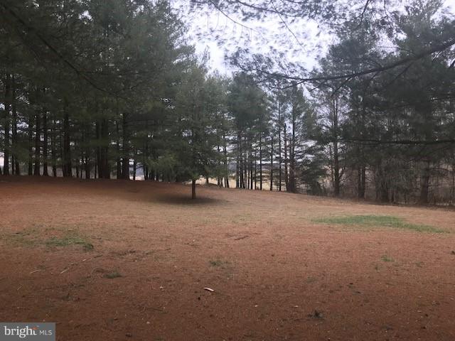 15690 Oakland Road Reva, VA 22735 - Photo 72 of 74 view of front yard
