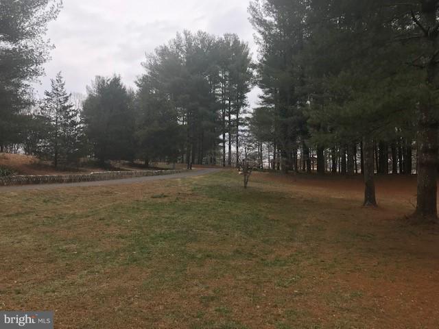 15690 Oakland Road Reva, VA 22735 - Photo 73 of 74 view of PAVED driveway