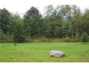 542 Northfield Road Roxbury, VT 05669 - Photo 3 of 3