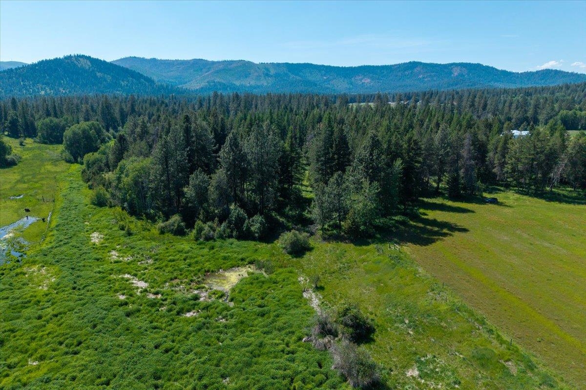 4668 Williams Valley Road Clayton, WA 99110 - Photo 19 of 44