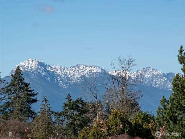 a view of table and chairs in middle of the green field