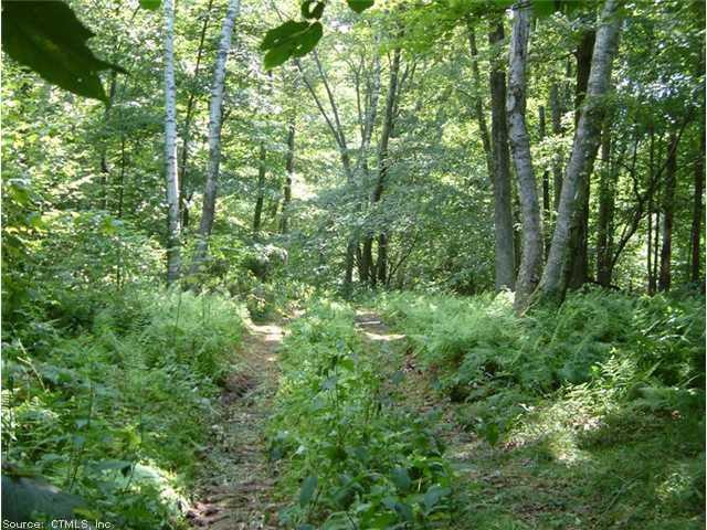0 Westwoods Road Sharon, CT 06069 - Photo 1 of 1 a view of a lush green forest