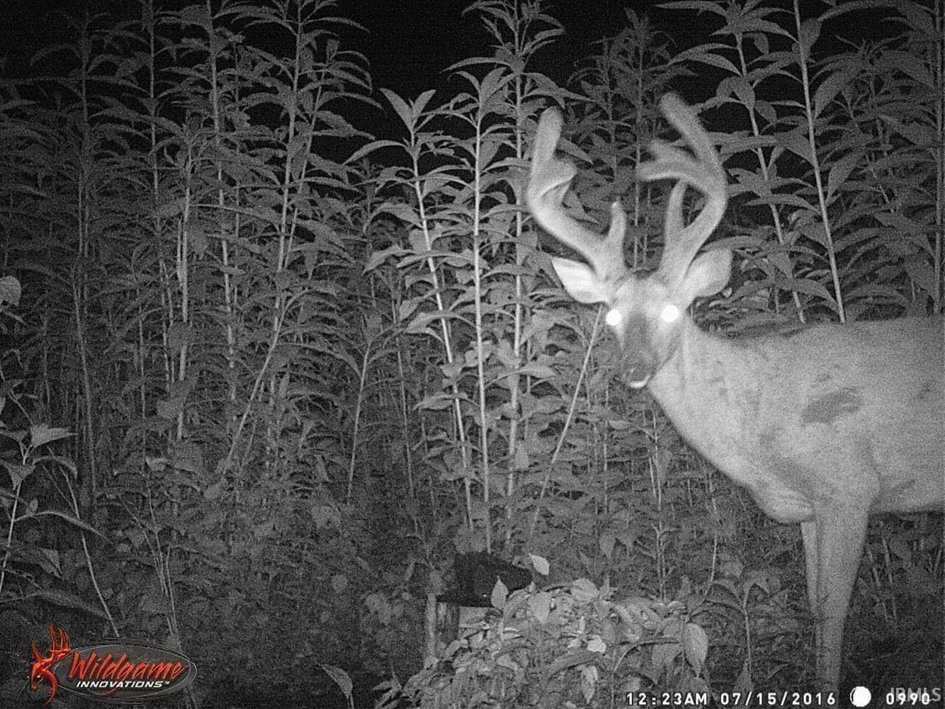 Tbd Newark Road Solsberry, IN 47459 - Photo 28 of 28