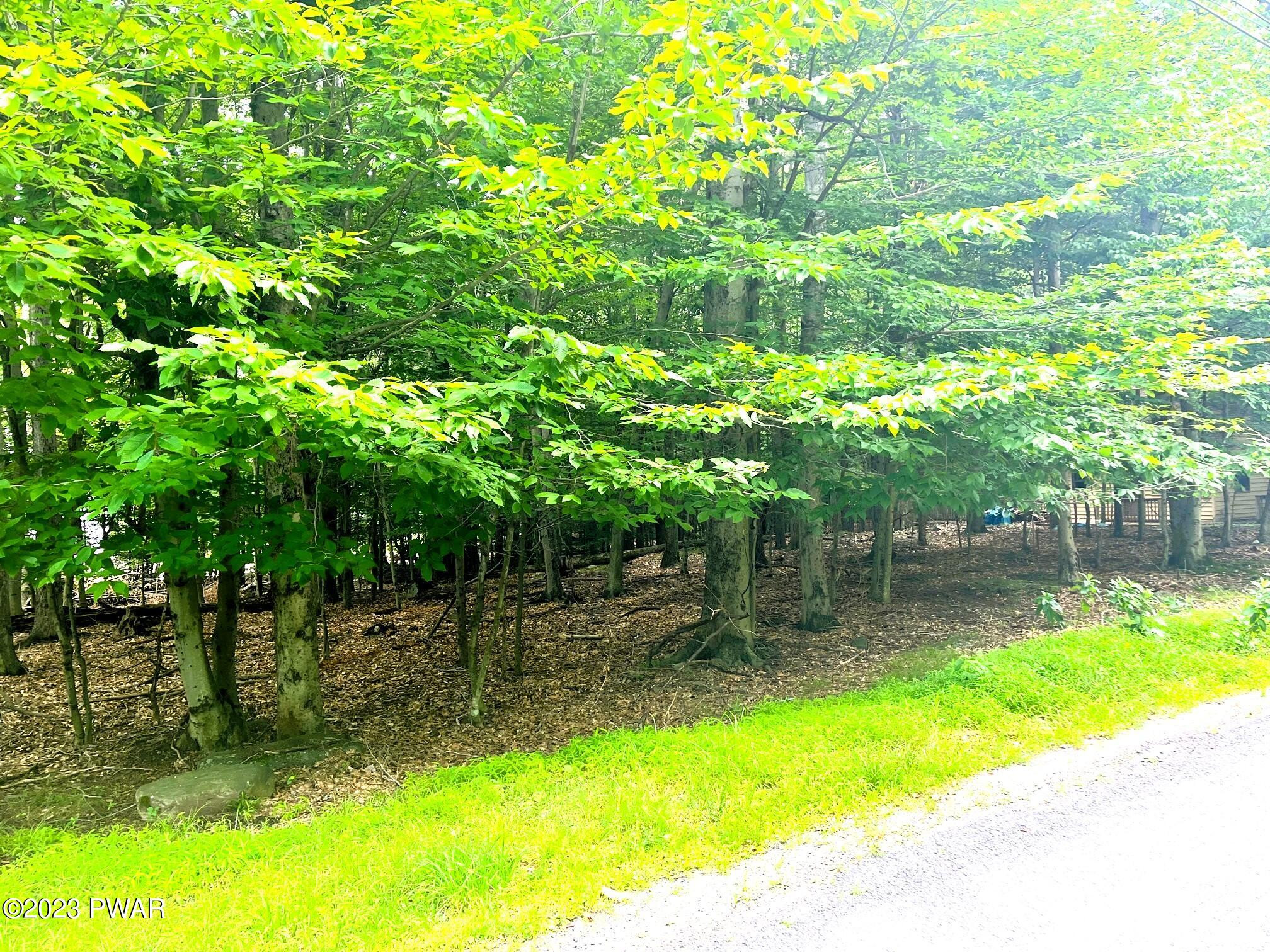 40 Deer Valley Road Lake Ariel, PA 18436 - Photo 2 of 10 IMG_8668