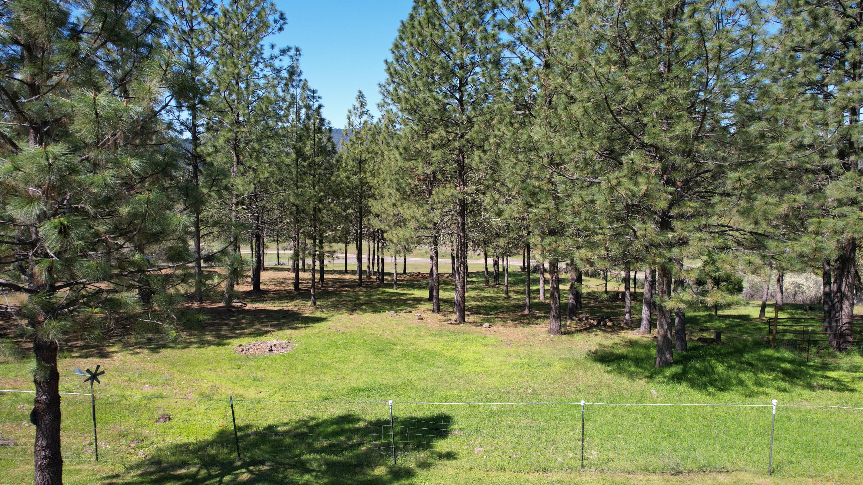 12888 McNeil Creek Road Trail, OR 97541 - Photo 7 of 32 Acreage from Driveway