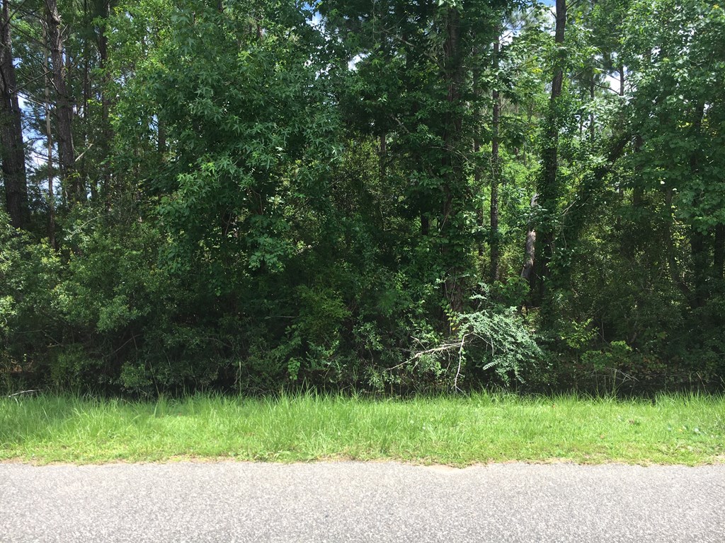 Lot 4 Bill Nelson Road Wewahitchka, FL 32465 - Photo 3 of 5