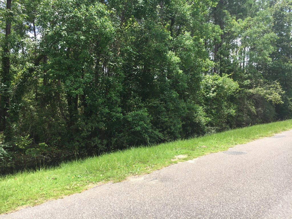 Lot 4 Bill Nelson Road Wewahitchka, FL 32465 - Photo 5 of 5