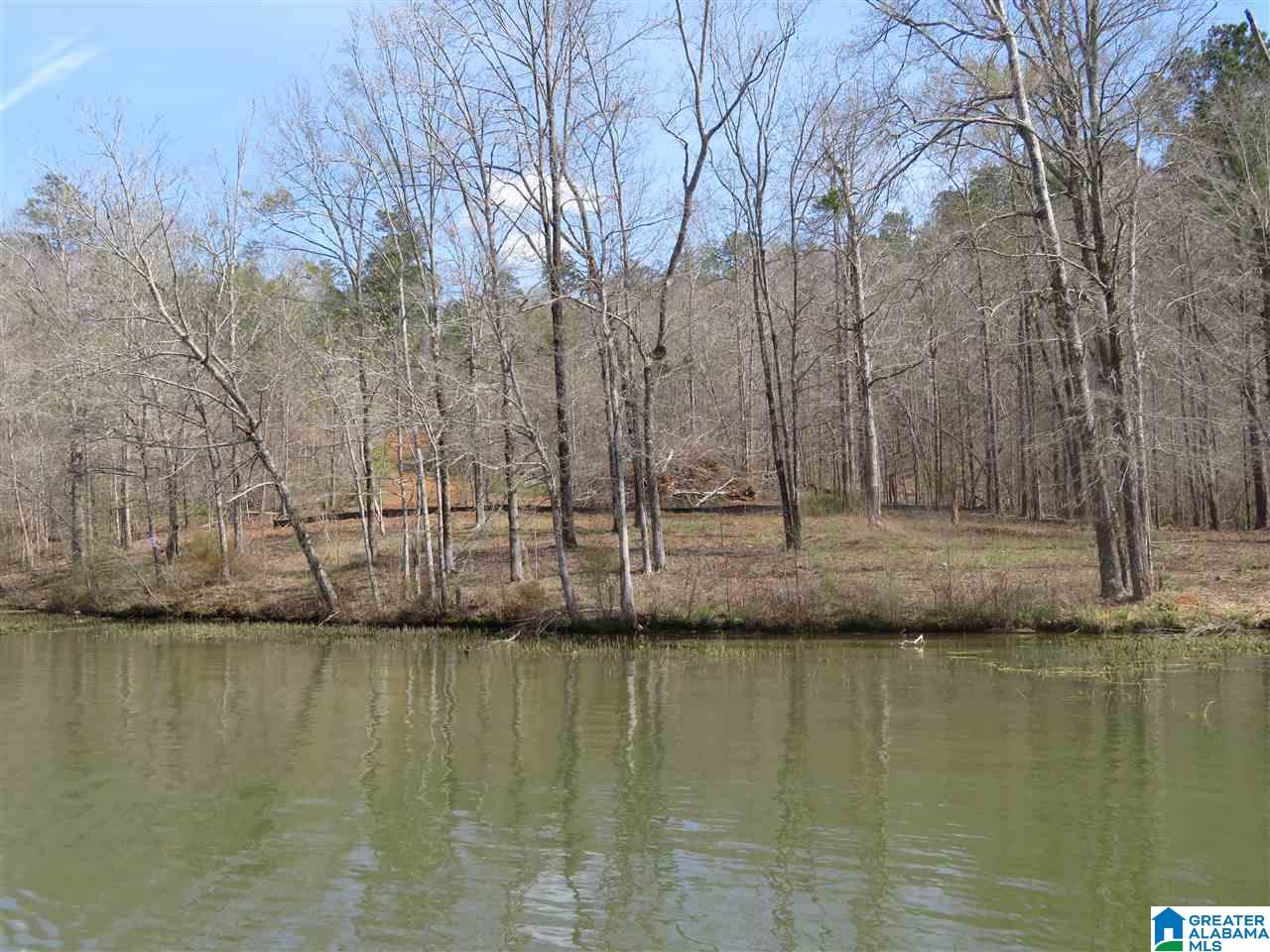 Lot 14 Eagle Point Trace, Unit 14 Alexander City, AL 35010 - Photo 4 of 13