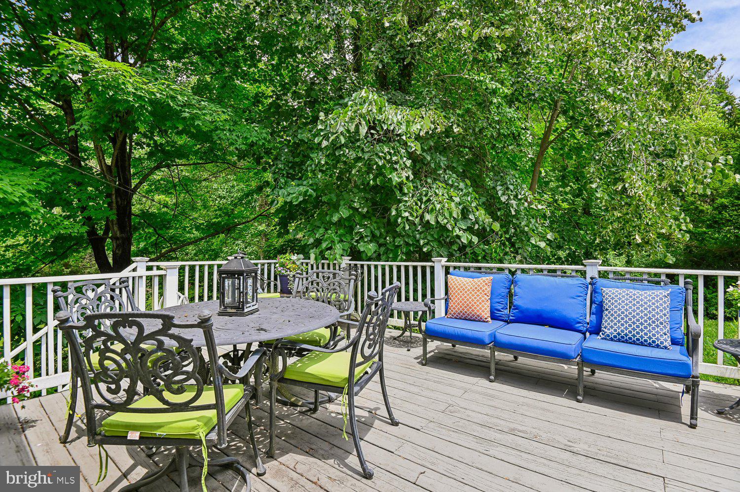 1110 Bryn Mawr Road Baltimore, MD 21210 - Photo 29 of 67 Deck