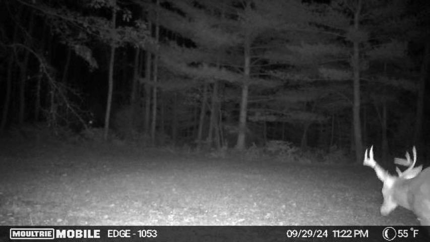 Vl Kolarvic Road Manton, MI 49663 - Photo 20 of 28