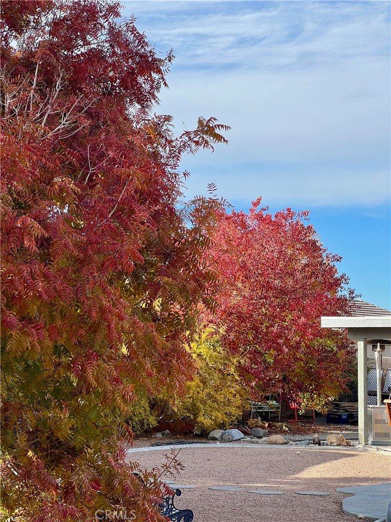 20365 Hohokam Road Apple Valley, CA 92308 - Photo 46 of 57