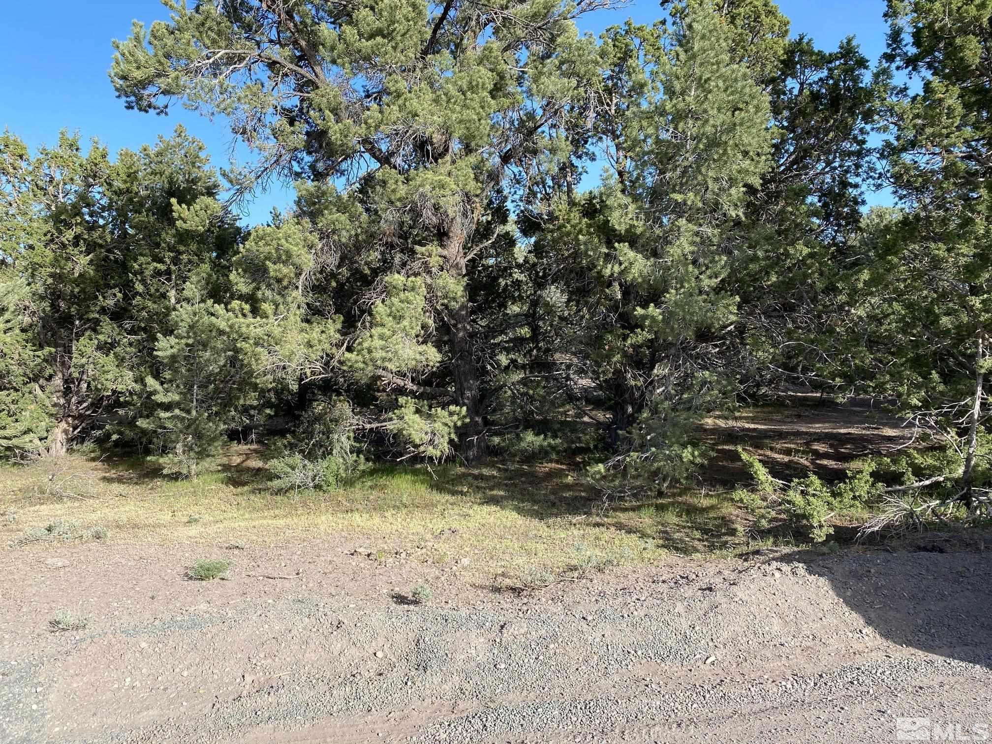 2241 Enterprise Reno, NV 89521 - Photo 1 of 1 Photo 1