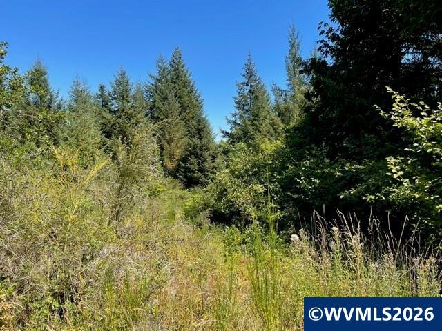 0 Oakdale Road Dallas, OR 97338 - Photo 13 of 14
