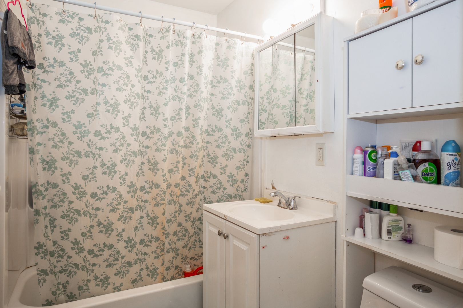 1085 Valley Lane, Unit 8113 Hoffman Estates, IL 60169 - Photo 8 of 10 a bathroom with a sink a vanity and a shower curtain