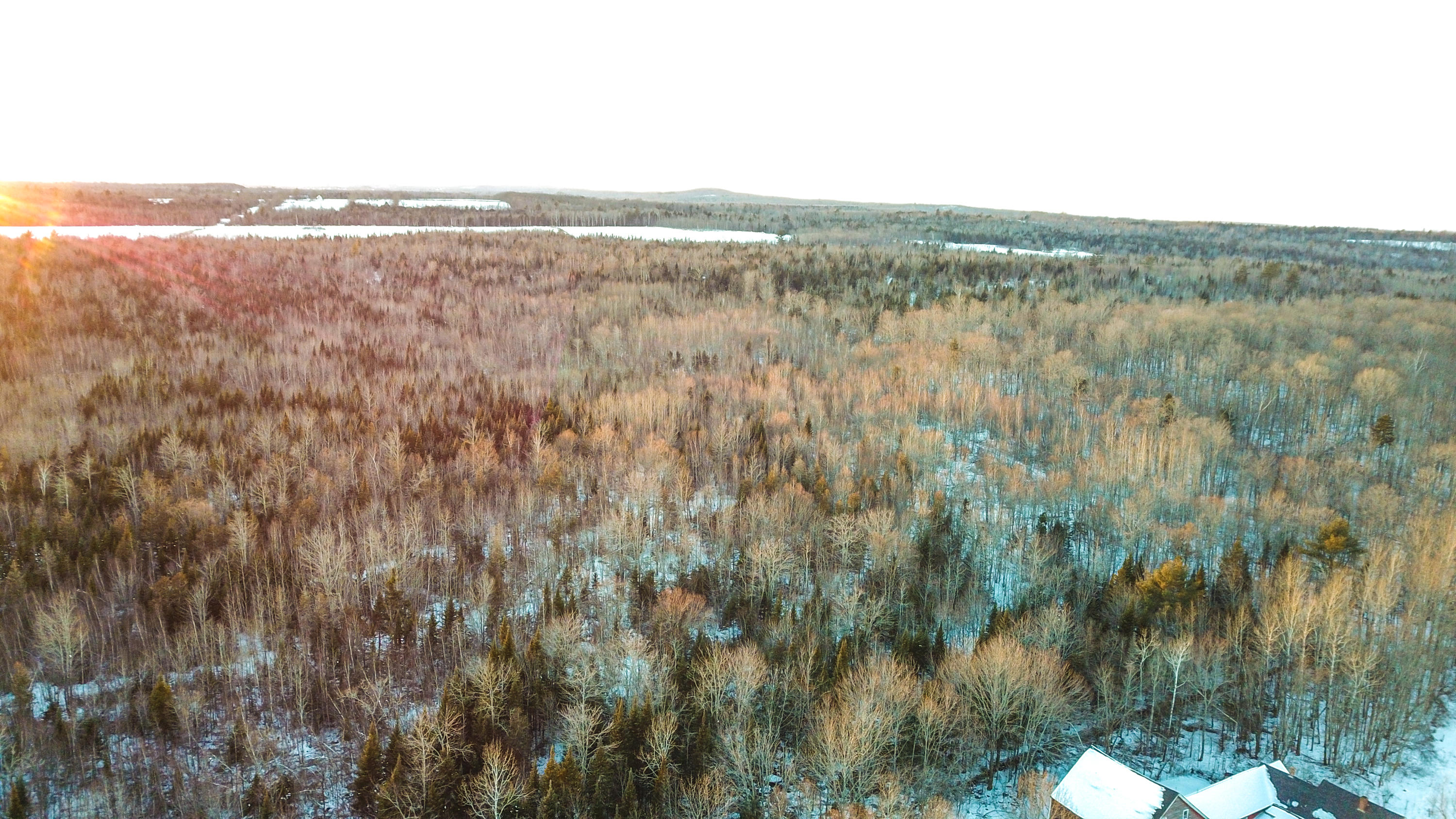 Lot 19 Middle Road Bradford, ME 04410 - Photo 4 of 25 50+/- Acres
