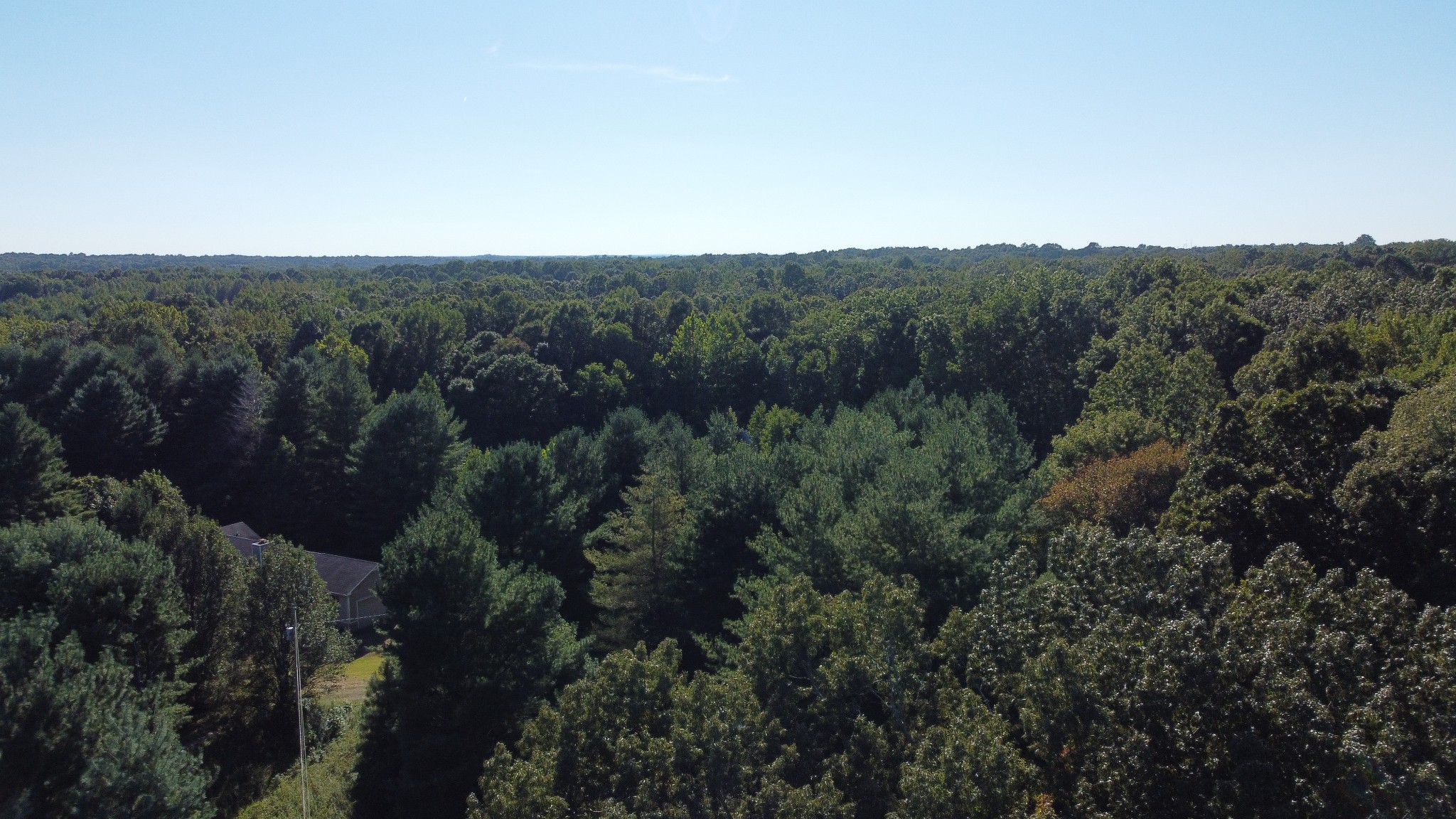 4628 Marion Road Cunningham, TN 37052 - Photo 3 of 7 Gallery Image 3