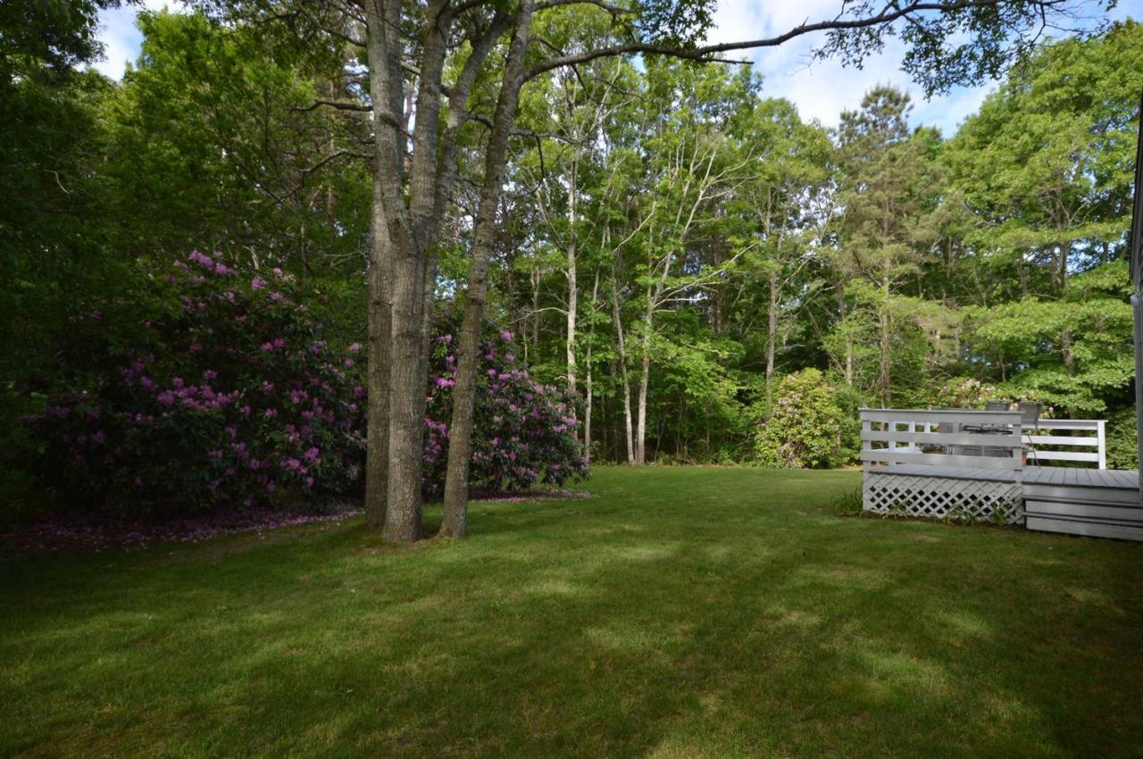 44 Holly Ridge Drive Sandwich, MA 02563 - Photo 26 of 26 Additional Photo