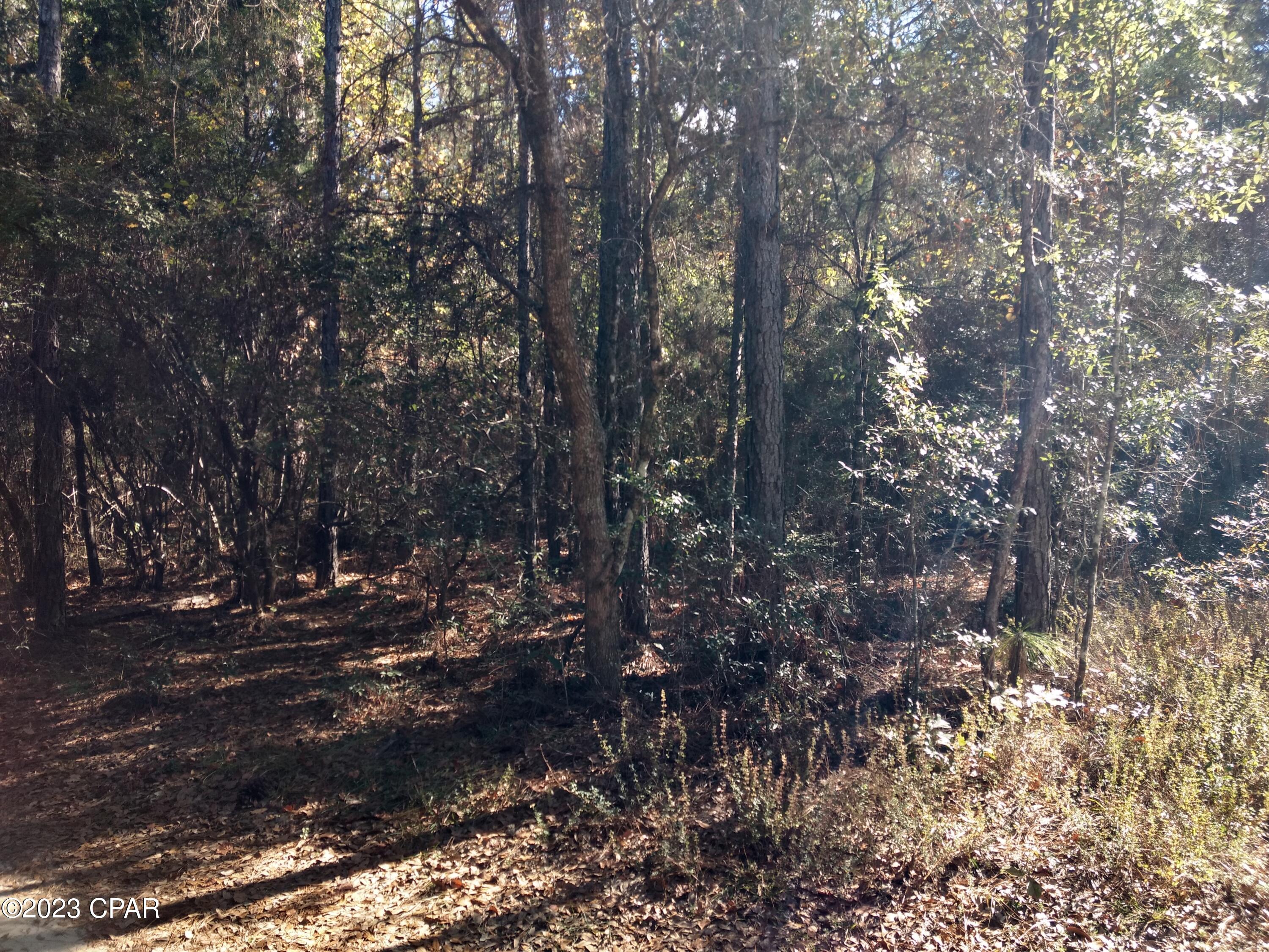 0 Little John Road Bonifay, FL 32425 - Photo 3 of 5