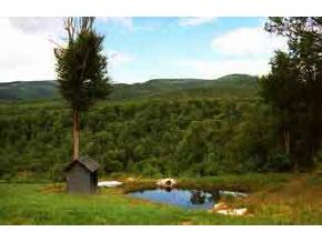 * Off Pleasant Valley Road Lancaster, NH 03584 - Photo 1 of 3