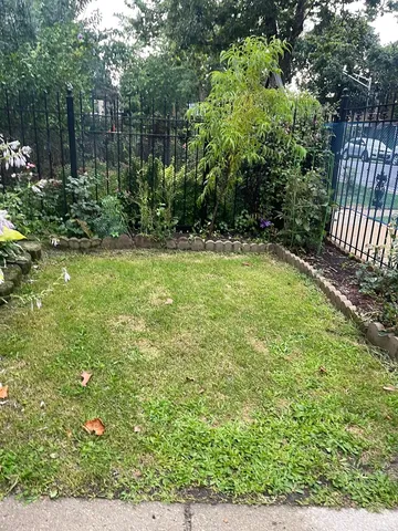 a view of a backyard